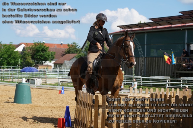 s_K3F06987.JPG